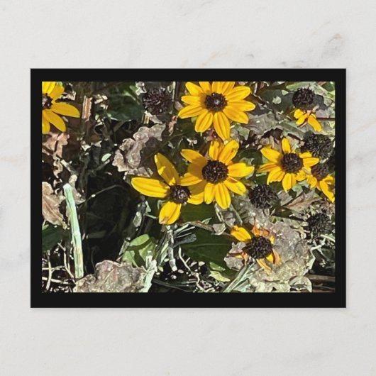Yellow Flowers Briefkaart met zwarte rand (Voorkant)