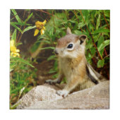 Yellow Flowers Chipmunk Tegeltje (Voorkant)