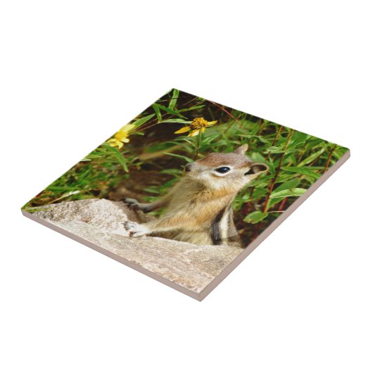 Yellow Flowers Chipmunk Tegeltje (Zijkant)