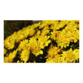 Yellow Flowers Foto Afdruk (Voorkant)
