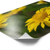 Yellow Flowers Foto Afdruk (Hoek)
