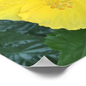 Yellow Flowers Foto Poster (Hoek)