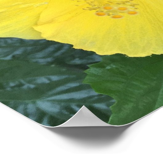 Yellow Flowers Foto Poster (Hoek)