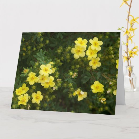 Yellow Flowers Kaart (Gele Bloem)