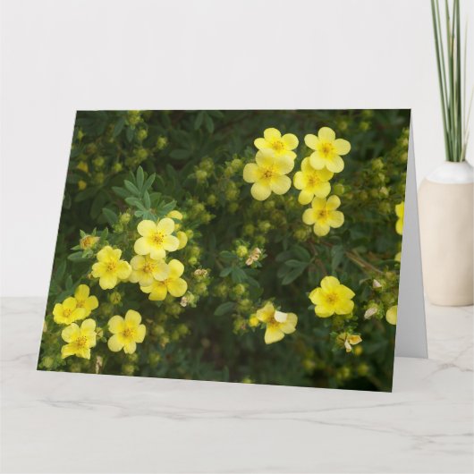 Yellow Flowers Kaart (Voorkant)