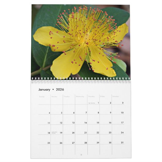 Yellow Flowers  Kalender (Jan 2026)