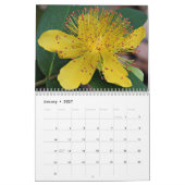 Yellow Flowers Kalender (Jan 2027)