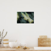 Yellow Flowers - Morning Dew Poster (Keuken)