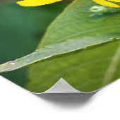 Yellow Flowers Photo Poster (Hoek)