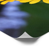 Yellow Flowers Photo Poster (Hoek)