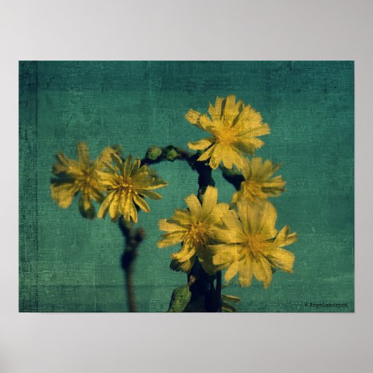 Yellow Flowers Poster (Voorkant)