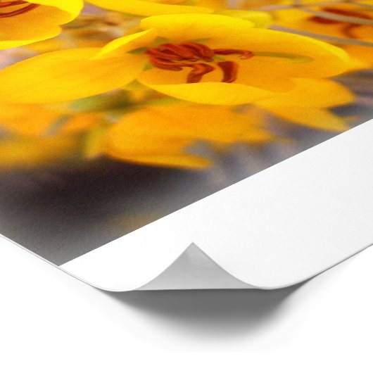 Yellow Flowers Poster (Hoek)