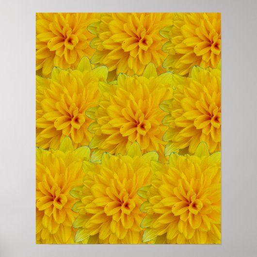 Yellow Flowers Poster (Voorkant)