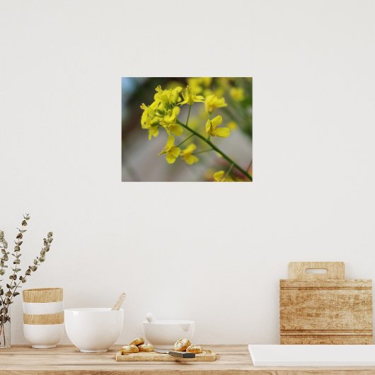 Yellow Flowers Poster (Keuken)