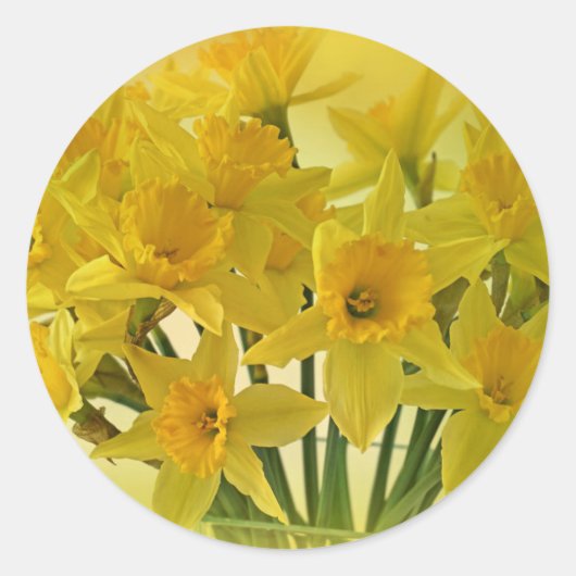 Yellow Flowers Ronde Sticker (Voorkant)