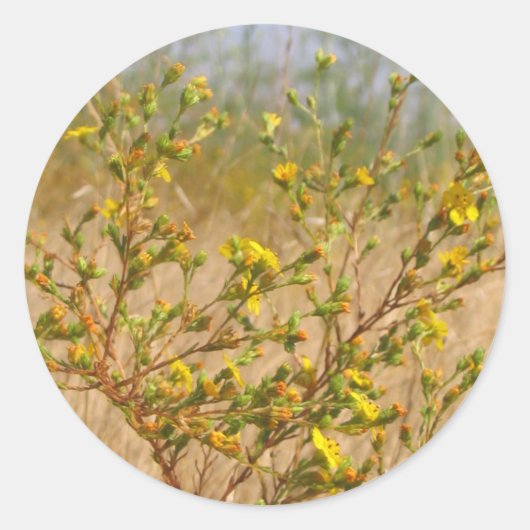 Yellow Flowers Struik Sticker (Voorkant)