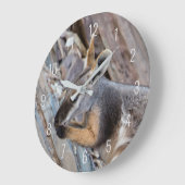 Yellow Footed Rock Wallaby Kangaroo Australië Grote Klok (Hoek)