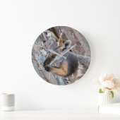 Yellow Footed Rock Wallaby Kangaroo Australië Grote Klok (Huis)