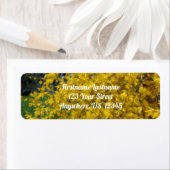Yellow Forsythia Flowers Orton Effect Address Etiket (Insitu)