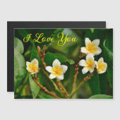 Yellow Frangipani (Voorkant / Achterkant)