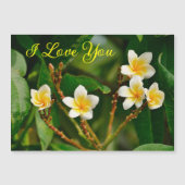 Yellow Frangipani (Voorkant)