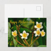 Yellow Frangipani Briefkaart (Voorkant / Achterkant)