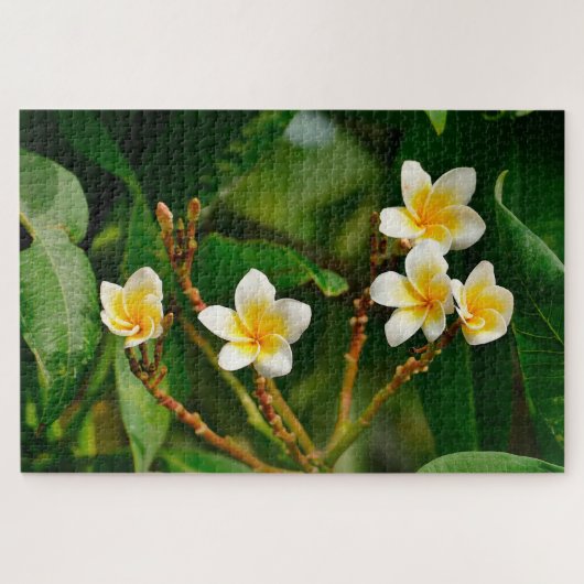 Yellow Frangipani Legpuzzel (Horizontaal)