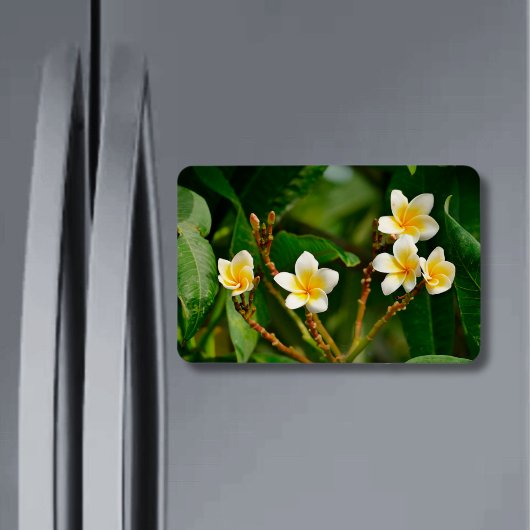 Yellow Frangipani Magneet
