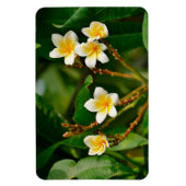 Yellow Frangipani Magneet (Verticaal)