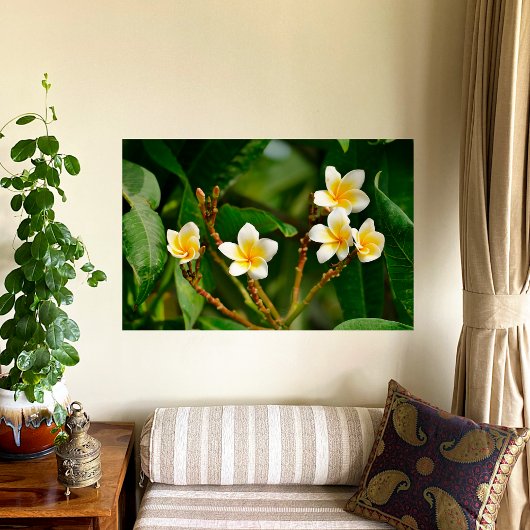Yellow Frangipani Perfect Poster