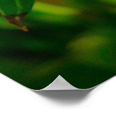 Yellow Frangipani Poster (Hoek)