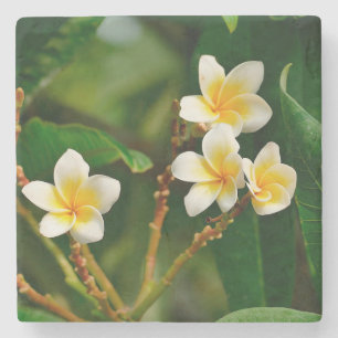 Yellow Frangipani Stenen Onderzetter