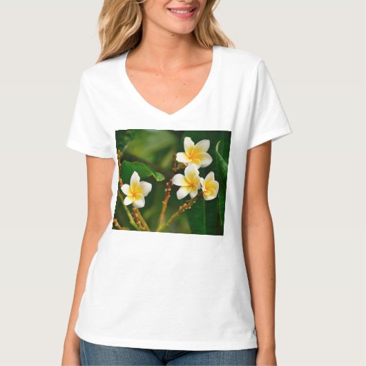 Yellow Frangipani T-shirt (Voorkant)
