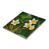 Yellow Frangipani Tegeltje (Zijkant)