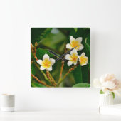 Yellow Frangipani Vierkante Klok (Huis)
