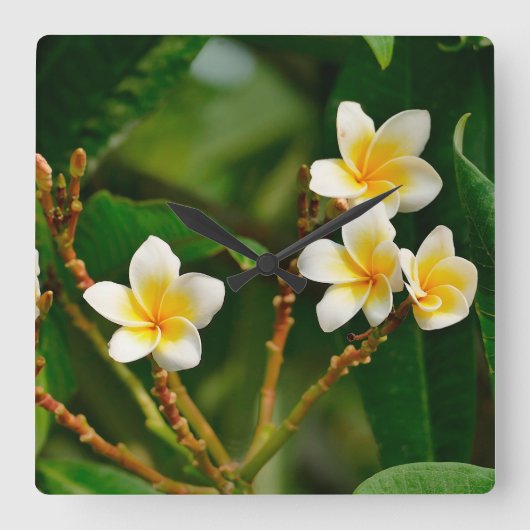 Yellow Frangipani Vierkante Klok (Voorkant)