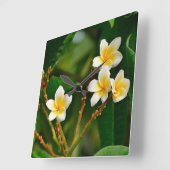Yellow Frangipani Vierkante Klok (Hoek)