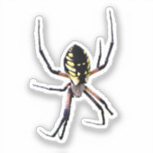 Yellow Garden Spider Sticker (Voorkant)
