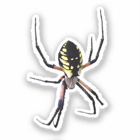Yellow Garden Spider Sticker (Voorkant)