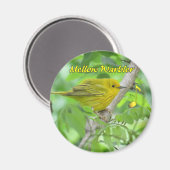 Yellow (gemeente) Warbler magnet (Voorkant / Achterkant)