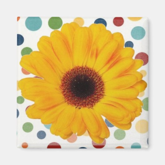 Yellow Gerber Daisy Magneet (Voorkant)