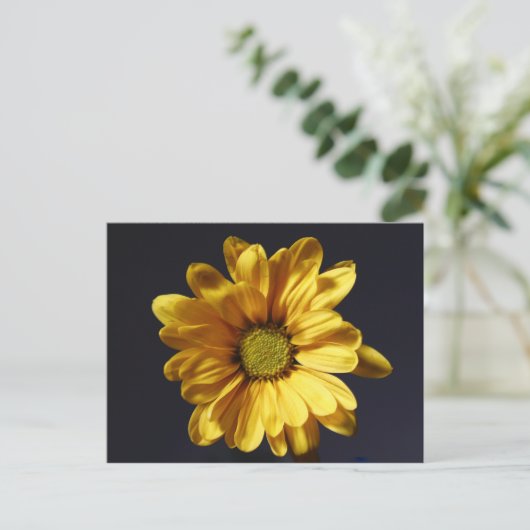 Yellow Gerbera Daisy Briefkaart (Staand voorkant)