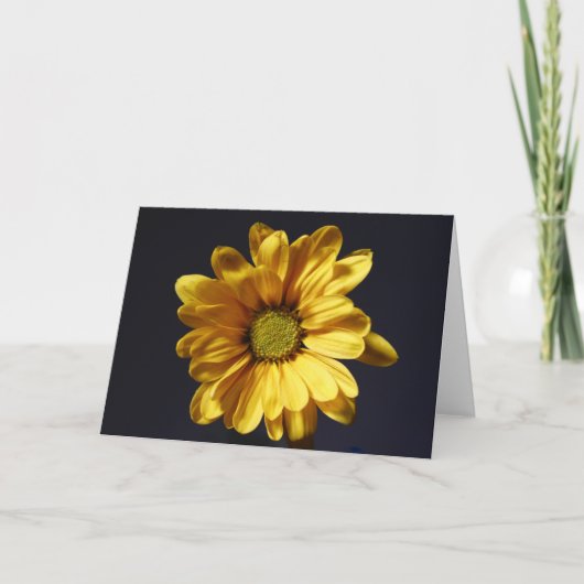 Yellow Gerbera Daisy Kaart (Voorkant)