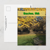 Yellow Gingko Tree Briefkaart (Voorkant / Achterkant)