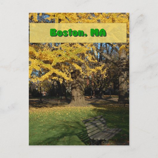 Yellow Gingko Tree Briefkaart (Voorkant)