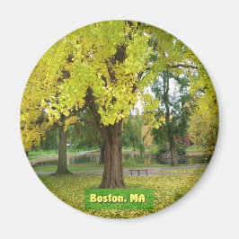 Yellow Gingko Tree Magneet