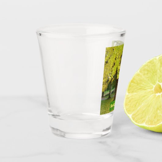 Yellow Gingko Tree Shot Glas (Links)