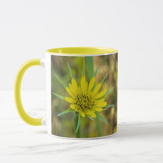 Yellow Goat's Beard Mok (Links)
