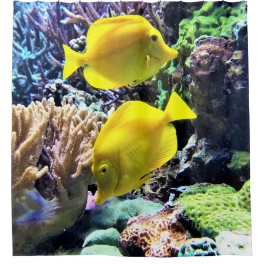 Yellow Hawaiian Tang Fish Douchegordijn (Voorkant)