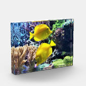 Yellow Hawaiian Tang Fish Fotoblokken (Links)